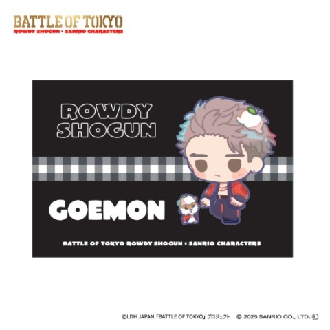 枕カバー（43×63cm）