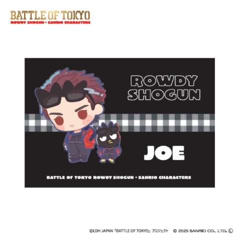 枕カバー（43×63cm）