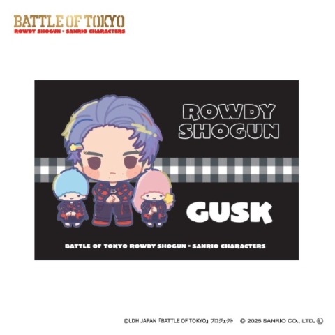 枕カバー（43×63cm）