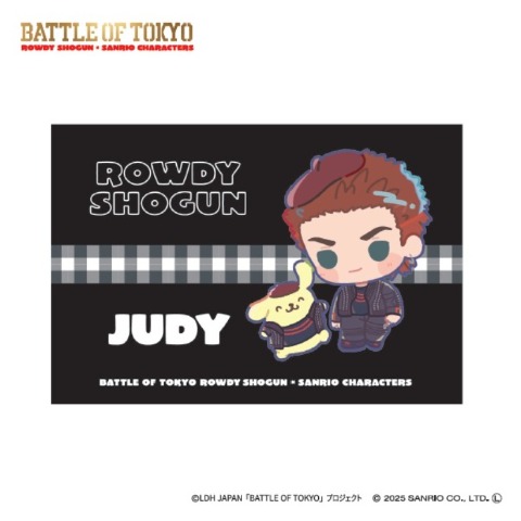 枕カバー（43×63cm）