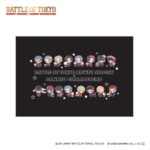 枕カバー（43×63cm）