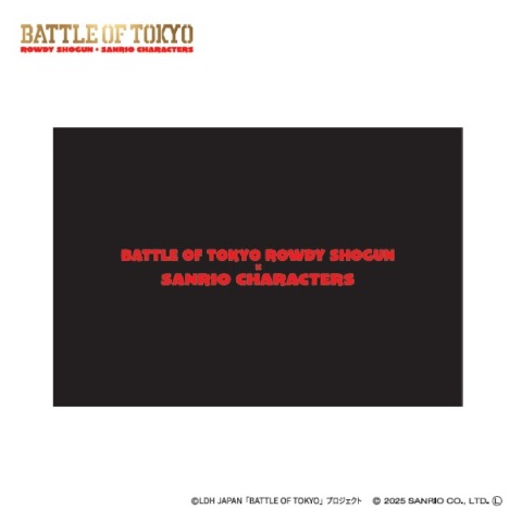 枕カバー（43×63cm）