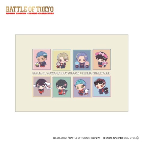 枕カバー（43×63cm）