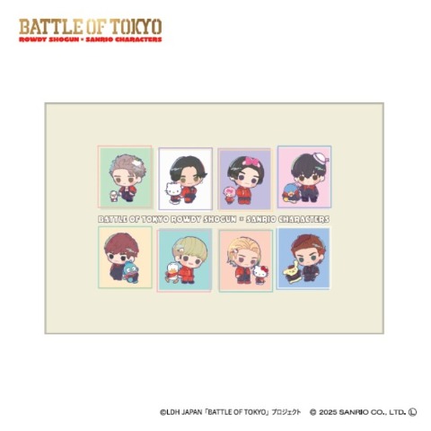 枕カバー（43×63cm）