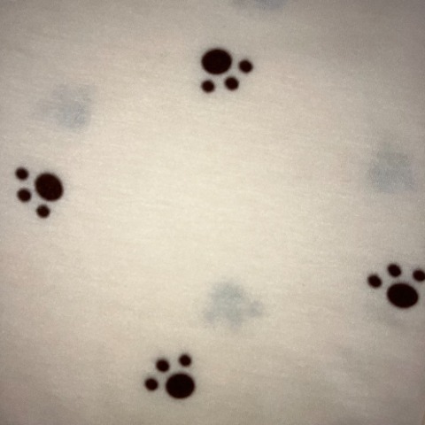 レディース　ルームウェア（3L・4L / ポムポムプリン）