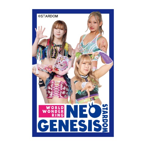 メンズ　NEO GENESISダンボールジップパーカ（スターダム）