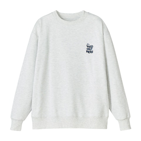 メンズ　プルオーバー（Disney）