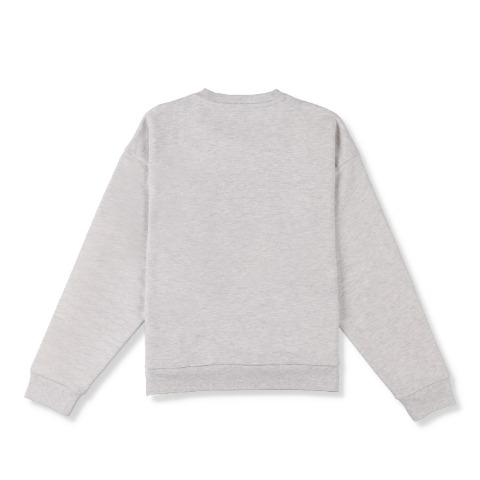 メンズ【3L～5L】　プリントプルオーバー（Denifits）