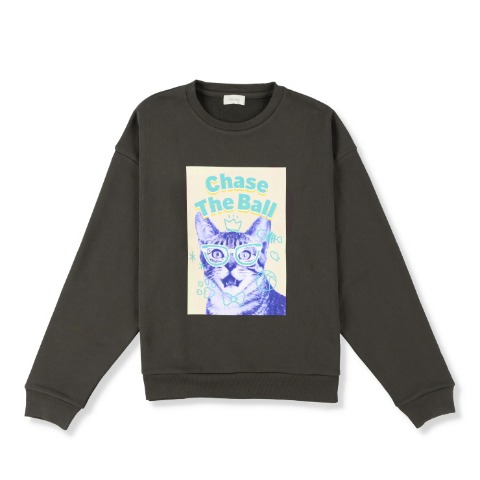 メンズ【3L～5L】　プリントプルオーバー（Denifits）
