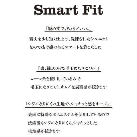 メンズ【3L～5L】　プリントプルオーバー（Denifits）