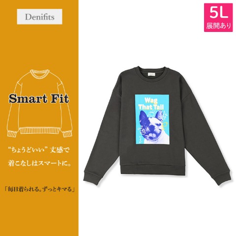 メンズ【3L～5L】　プリントプルオーバー（Denifits）