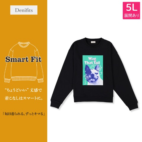 メンズ【3L～5L】　プリントプルオーバー（Denifits）