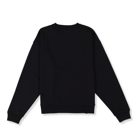メンズ【3L～5L】　プリントプルオーバー（Denifits）