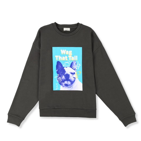 メンズ【3L～5L】　プリントプルオーバー（Denifits）