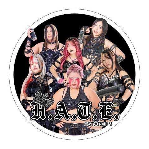 メンズ　HATEダンボールジョガーパンツ（スターダム）