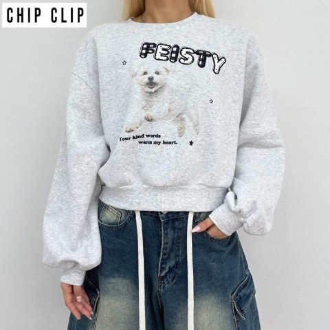 レディース　プルオーバー（CHIP CLIP・TikTok）