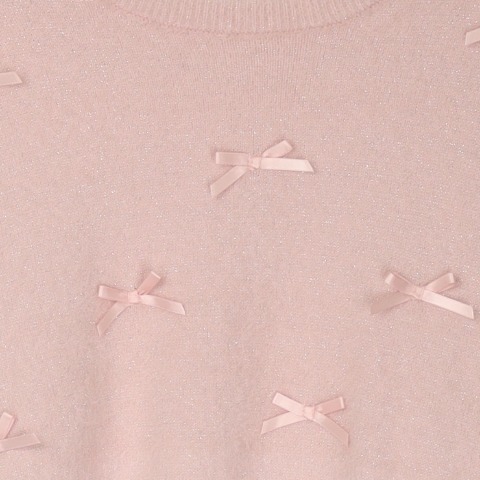 レディース　ニットプルオーバー（CHIP CLIP）