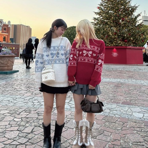 レディース　ニットプルオーバー（CHIP CLIP・TikTok）