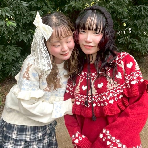 レディース　ニットプルオーバー（CHIP CLIP）