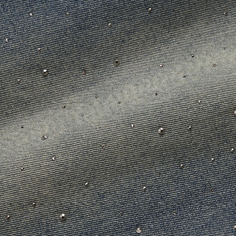 レディース　ラインストーンパンツ（SUREVE）