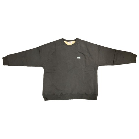 レディース　トレーナー（CONVERSE）