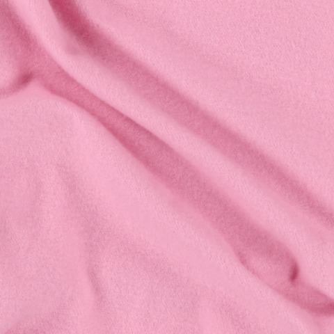 レディース　トレーナー（ミスター・ステンチー）