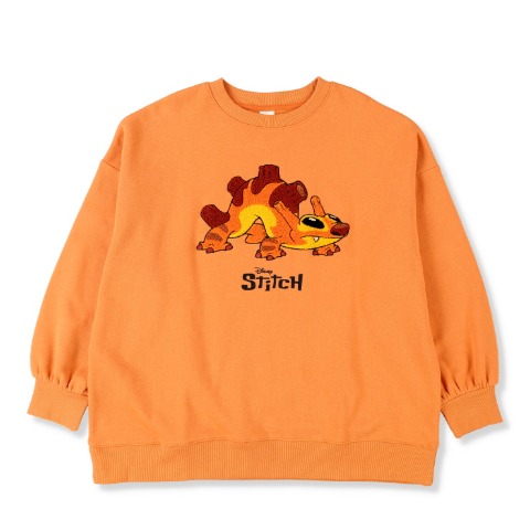 レディース　トレーナー（ヤン）