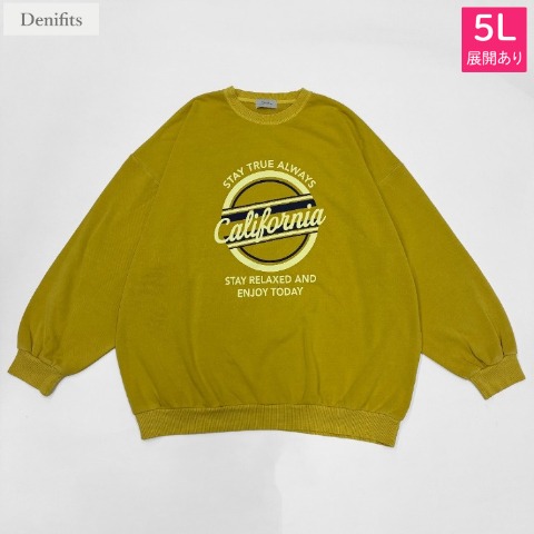 レディース【4L・5L】　プルオーバー（Denifits）
