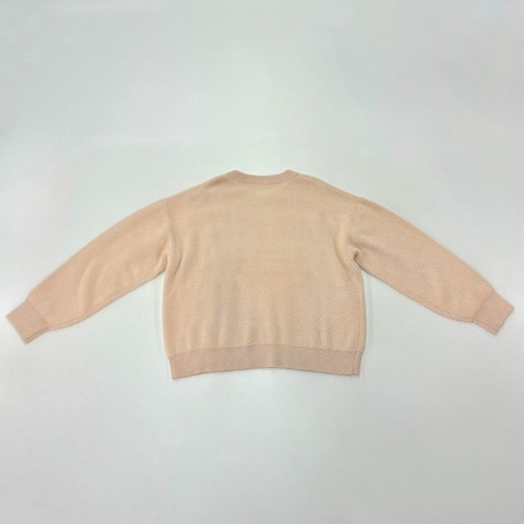 レディース【2L～4L】　ロゴニットプルオーバー（Derelikt×安藤うぃ）