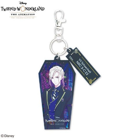 アクリルキーホルダー　ヴィル・シェーンハイト