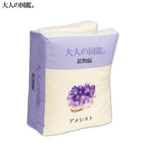 ブック型クッション（大人の図鑑）