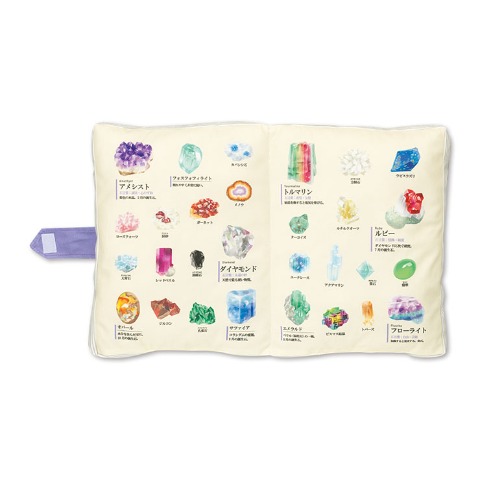 ブック型クッション（大人の図鑑）