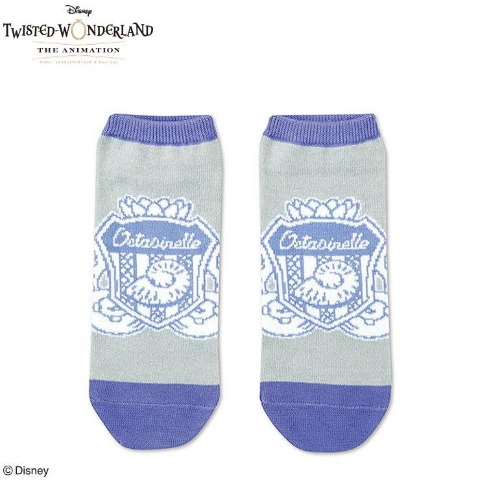 台紙付ソックス（ツイステッドワンダーランド）