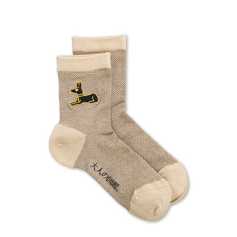 レディース　シール付ソックス（大人の図鑑）