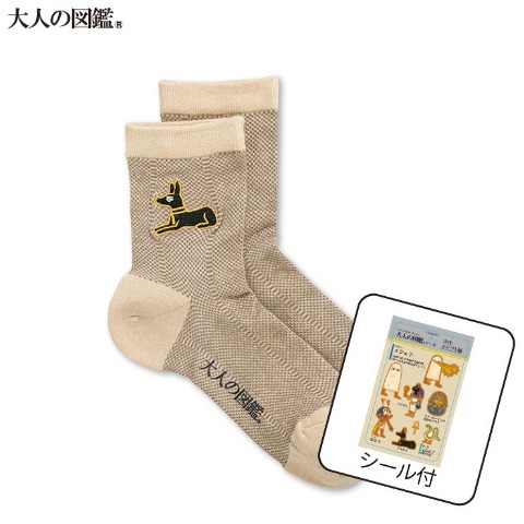 レディース　シール付ソックス（大人の図鑑）