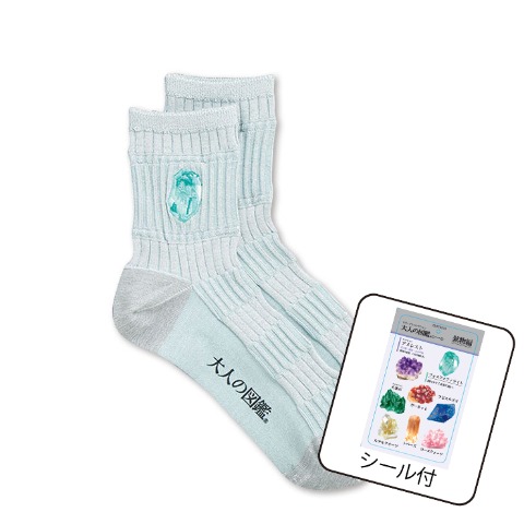 レディース　クルーソックス（大人の図鑑）