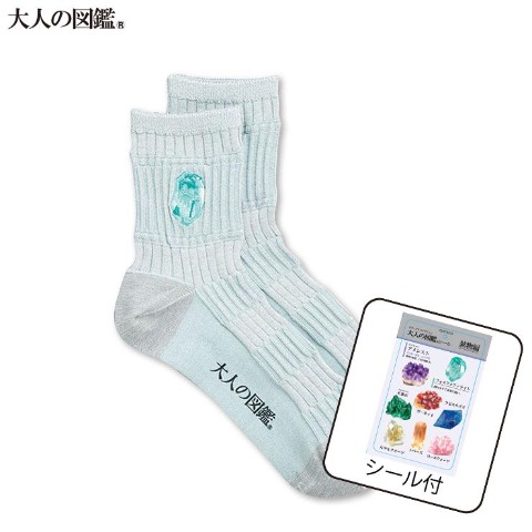 レディース　クルーソックス（大人の図鑑）