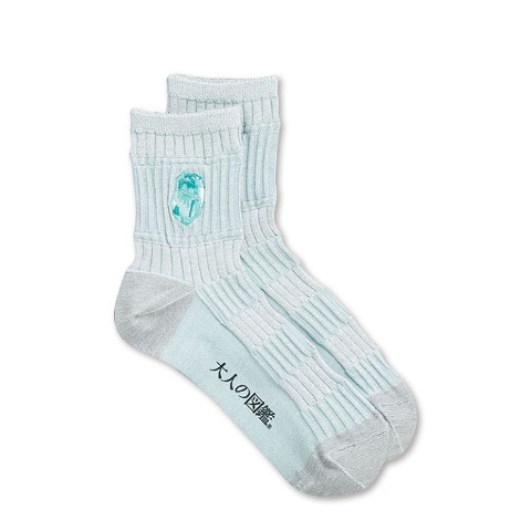 レディース　クルーソックス（大人の図鑑）