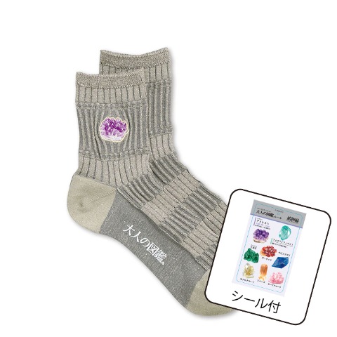 レディース　シール付ソックス（大人の図鑑）
