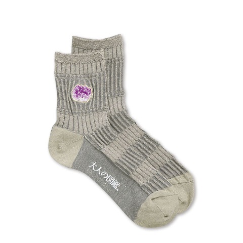 レディース　シール付ソックス（大人の図鑑）