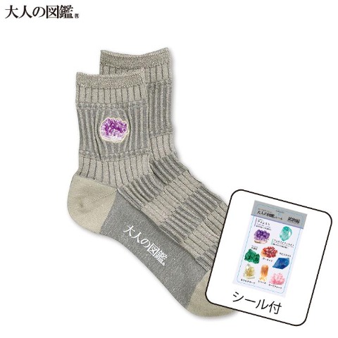 レディース　シール付ソックス（大人の図鑑）