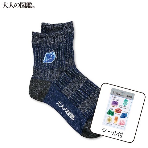 レディース　シール付ソックス（大人の図鑑）
