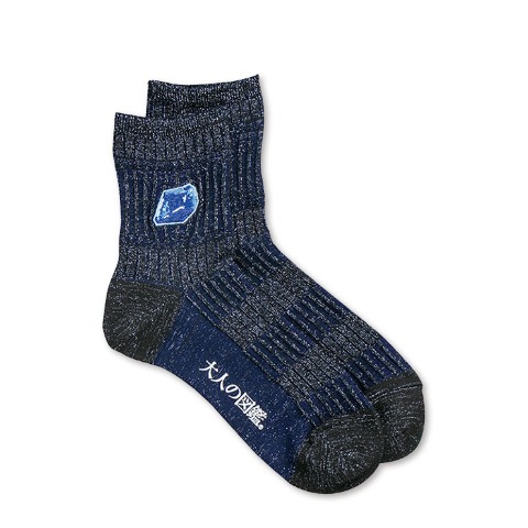 レディース　シール付ソックス（大人の図鑑）