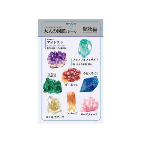 レディース　シール付ソックス（大人の図鑑）