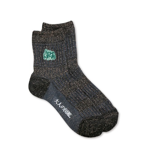 レディース　シール付ソックス（大人の図鑑）