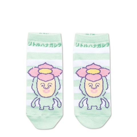 レディース　ソックス（リトルハナガシラ　ファンシー）
