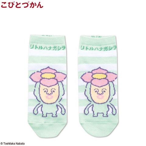 レディース　ソックス（リトルハナガシラ　ファンシー）