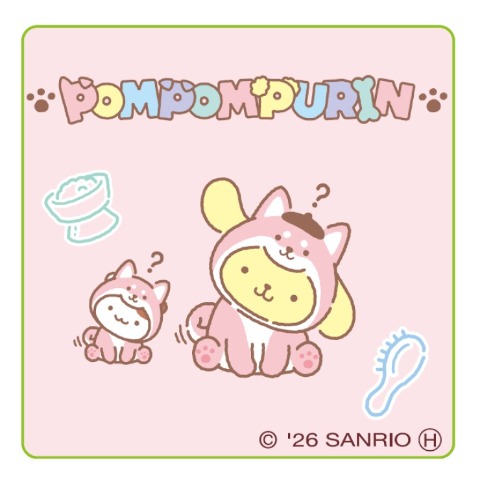 レディース　シール付ソックス（ポムポムプリン）