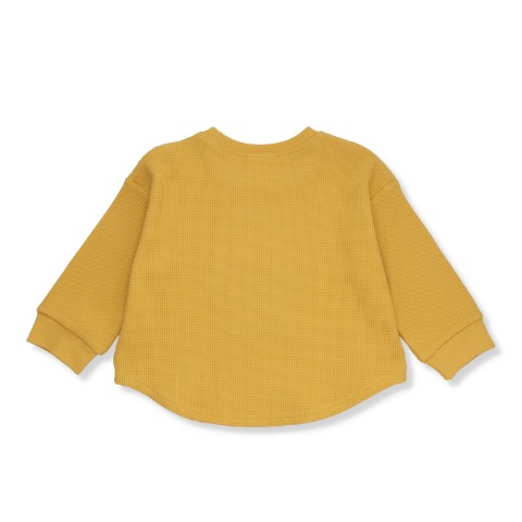 ベビー　長袖Ｔシャツ （80～95cm・Disney/Pixar）