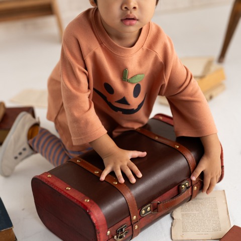 ベビー　長袖Tシャツ（80～95cm・tete a tete）
